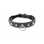 Bondage Collar with Chain XR by XR, Collars and straps - Ref: M0403339, Price: 20,99 €, Discount: %