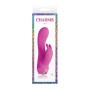 Vibrateur G-Spot NS Novelties Charms Rose de NS Novelties, Vibrateurs point G - Réf : S9401674, Prix : 37,99 €, Remise : %