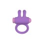 Cock Ring Party Color Toys Lilac Silicone by Party Color Toys, Non-vibrating rings - Ref: M0402671, Price: 24,99 €, Discount: %