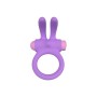 Cock Ring Party Color Toys Lilac Silicone by Party Color Toys, Non-vibrating rings - Ref: M0402671, Price: 24,99 €, Discount: %