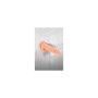 Dildo Realista Real Body de Real Body, Consoladores realistas - Ref: M0405030, Preço: 23,99 €, Desconto: %