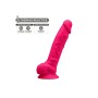 Consolador Realista Silexd Rosa de Silexd, Consoladores realistas - Ref: M0402897, Precio: 32,99 €, Descuento: %