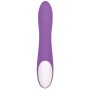 Vibrateur G-Spot Evolved Rabbit Violet de Evolved, Vibrateurs point G - Réf : S9404533, Prix : 41,99 €, Remise : %