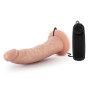 Dildo Realistico Blush Dr Skin PVC Ø 4,1 cm (17,7 cm) di Blush, Dildo realistici - Rif: S9402220, Prezzo: 29,99 €, Sconto: %