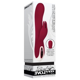 Vibrador de Ponto G Evolved Bunny Vermelho de Evolved, Vibradores ponto G - Ref: S9404617, Preço: 55,99 €, Desconto: %