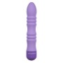 Vibromasseur à boules Evolved Violet de Evolved, Vibrateurs classiques - Réf : S9404901, Prix : 27,99 €, Remise : %