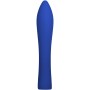 Vibromasseur à boules Evolved Bleu de Evolved, Vibrateurs balles - Réf : S9404649, Prix : 34,99 €, Remise : %