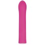 Vibrateur G-Spot Evolved Rose de Evolved, Vibrateurs point G - Réf : S9404488, Prix : 25,99 €, Remise : %