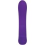 Vibratore per il Punto-G Adam & Eve Viola di Adam & Eve, Vibratori punto G - Rif: S9404603, Prezzo: 27,99 €, Sconto: %