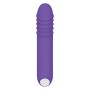 G-Punkt Vibrator Evolved Lila von Evolved, G-Punkt-Vibratoren - Ref: S9404685, Preis: 28,99 €, Rabatt: %