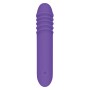 Vibrateur G-Spot Evolved Violet de Evolved, Vibrateurs point G - Réf : S9404685, Prix : 28,99 €, Remise : %