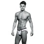 Classic underpants Envy White L/XL by Envy, Men's briefs - Ref: S9405722, Price: 27,99 €, Discount: %