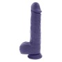 Vibrador Evolved Roxo de Evolved, Vibradores clássicos - Ref: S9406232, Preço: 73,99 €, Desconto: %