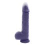 Vibrador Evolved Morado de Evolved, Vibradores clásicos - Ref: S9406232, Precio: 73,99 €, Descuento: %