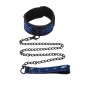 Collar Whipsmart Diamond de Whipsmart, Collares y correas - Ref: S9400129, Precio: 27,99 €, Descuento: %