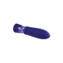 Mini Vibromasseur Evolved Raver Violet de Evolved, Vibrateurs balles - Réf : S9404797, Prix : 41,99 €, Remise : %