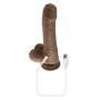 Dildo Realista Evolved Silicone ABS Ø 3,6 cm (14,6 cm) de Evolved, Consoladores realistas - Ref: S9404969, Preço: 59,99 €, De...