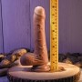 Dildo Realista Evolved Silicone ABS Ø 3,6 cm (14,6 cm) de Evolved, Consoladores realistas - Ref: S9404969, Preço: 59,99 €, De...