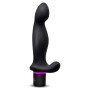 Massage de la prostate Dream Toys Sex Room Noir de Dream Toys, Masseurs de prostate - Réf : S9400768, Prix : 43,99 €, Remise : %