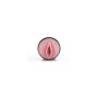 Masturbateur Fleshlight Vibro Lady de Fleshlight, Godes réalistes - Réf : M0401791, Prix : 69,99 €, Remise : %