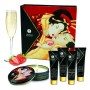 Geisha Sparjling Vin de Fraise Shunga SH8208 de Shunga, Ensembles Érotiques - Réf : M0406144, Prix : 24,99 €, Remise : %