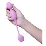 Orgasm Balls Blush Wellness Silicone ABS by Blush, Ben Wa balls - Ref: S9402537, Price: 50,99 €, Discount: %