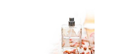 Perfumería | Cosmética